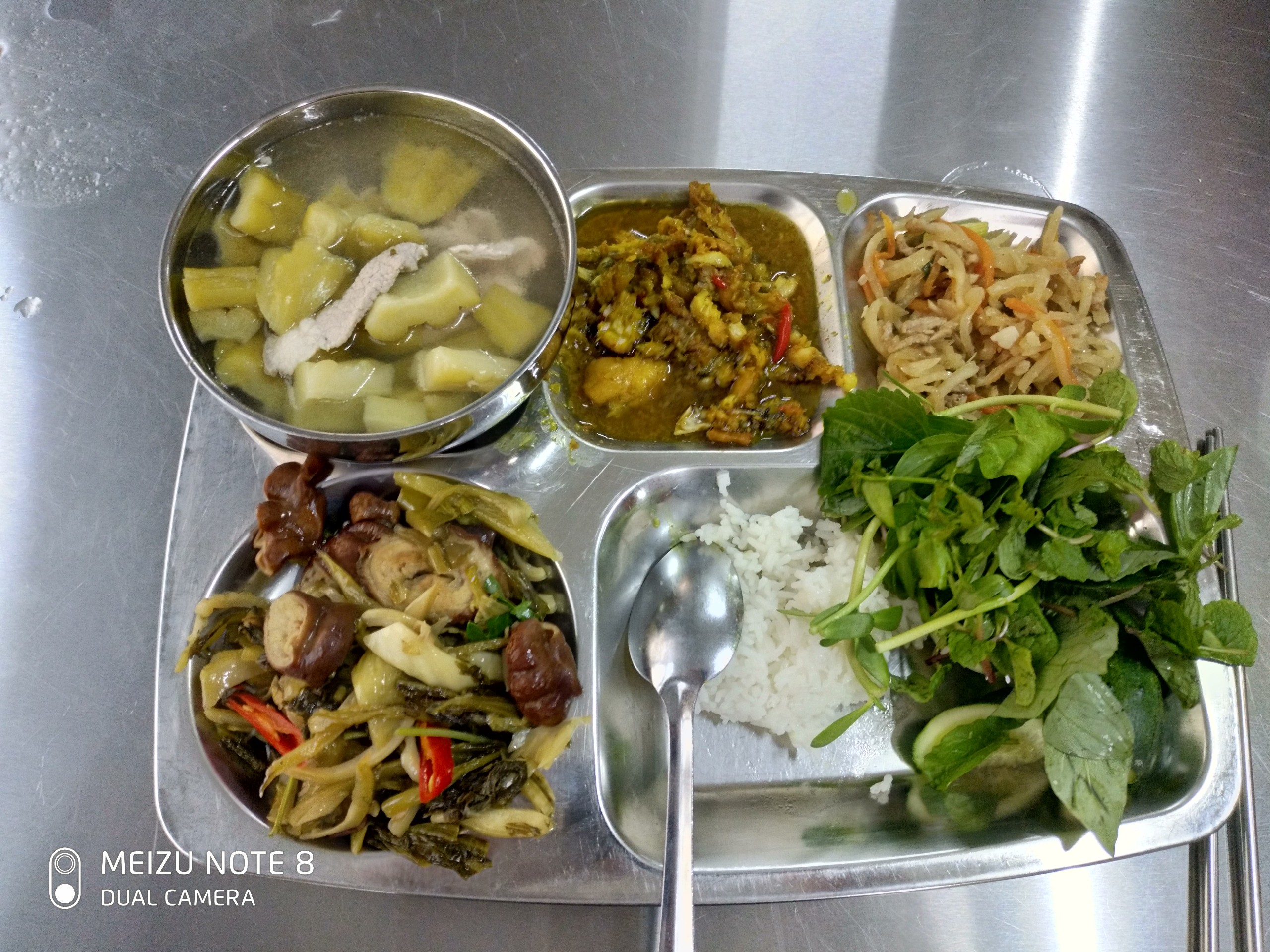meal1.jpg